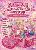 Premium mystery boxes